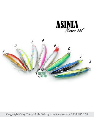 Mồi lure Minnow Asinia - mồi lure chẽm, vược, mú