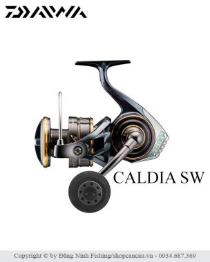 Máy câu Daiwa Caldia SW - siêu khỏe