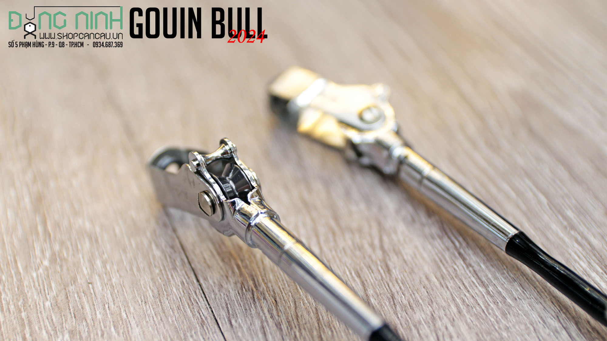 Cần câu Daiwa Gouin Bull - 2024