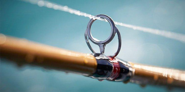 Các loại dây câu cá siêu bền và cách lựa chọn size cước câu cá chuẩn cho người mới bắt đầu